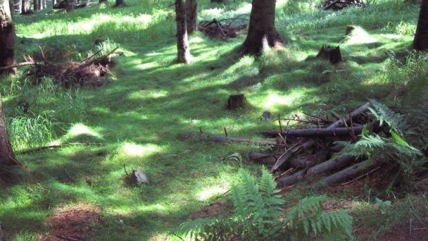 závislosti, zotavovna, Krkonoše léčí, stop alkoholu závislosti, zotavovna, Krkonoše léčí, stop alkoholu